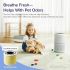 LEVOIT Air Purifier for Home Allergies Pets Hair in Bedroom